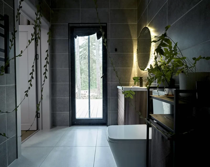 дом КД-1210 интерьер (душевая)